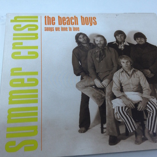 the beach boys songs we love to ...