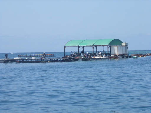 本部釣りイカダ 海人 その他のその他の無料広告 無料掲載の掲示板 ジモティー