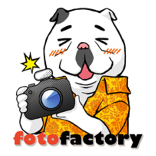 フォトレッスン by “fotofactory”