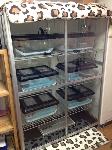 温室 ヒーター、サーモスタット