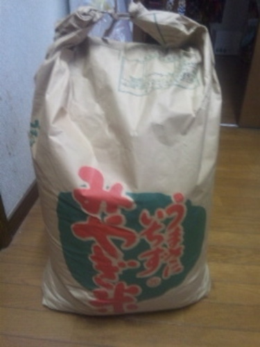 ひとめぼれ ３０kg 個数２