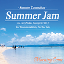 Summer Lounge Mix 2014