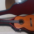 suzuki  violin製   ギター