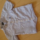 FRED PERRY  定番シャツ