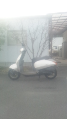 ホンダ  タクト  50cc