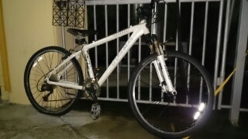 白16in, trek 4400