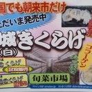 珍しい白きくらげ試食販売