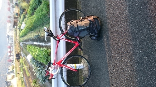 人気モデルTREK  madone5.5！！お売り致します。引き取り可能な方でお願い致します！