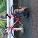 人気モデルTREK  madone5.5！！お売り致します。引き取り可能な方でお願い致します！