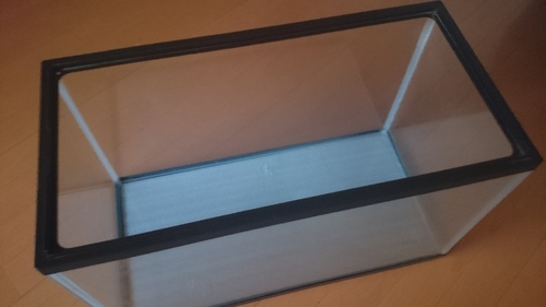 ガラス水槽60cm