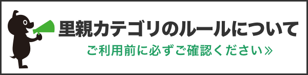ゴールデン・レトニエル女の子3歳6ヶ月 (kamata) 所沢のその他の ...