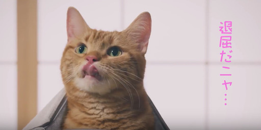 とりまつ畳 広島さん とりまつ畳株式会社広島営業所 のプロフィール 中古あげます 譲ります 無料広告 無料掲載のジモティー フリマ 掲示板