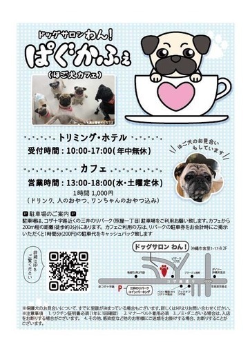 あゆみさん ぱぐかふぇ ドッグサロンわん のプロフィール 中古あげます 譲ります 無料広告 無料掲載のジモティー フリマ 掲示板