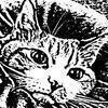 猫七さんのプロフィール画像