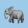 象さんのプロフィール画像