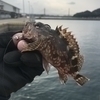 そぉだふぉんさんのプロフィール画像