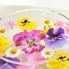 mimosaさんのプロフィール画像