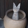 Kitcatさんのプロフィール画像