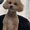 りんりんさんのプロフィール画像