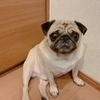なるさんのプロフィール画像