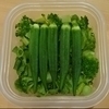 緑野菜さんのプロフィール画像