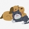 ピピコさんのプロフィール画像