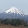 富士山さんのプロフィール画像