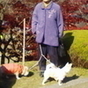 tiwawaさんのプロフィール画像