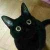 黒猫にぼし🐈‍⬛さんのプロフィール画像