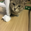 虎魂さんのプロフィール画像