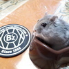 がちゃがちゃぴんさんのプロフィール画像