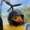 duck隊長さんのプロフィール画像