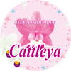 Cattleyaさんのプロフィール画像