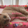 miichan💕さんのプロフィール画像
