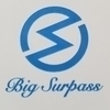BigSurpassさんのプロフィール画像