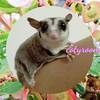 cotyさんのプロフィール画像