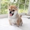 まーさんのプロフィール画像