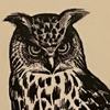 OWL   福地さんのプロフィール画像