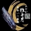 雅舟月さんのプロフィール画像