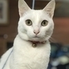 たかさんのプロフィール画像