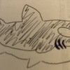 サメさんのプロフィール画像