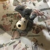 Kinokoさんのプロフィール画像