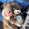 hiro※プロフ必読さんのプロフィール画像