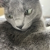 なおさんのプロフィール画像