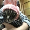 猫太郎さんのプロフィール画像