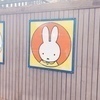 miffyさんのプロフィール画像