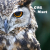 OWL Martさんのプロフィール画像