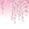 枝垂れ桜さんのプロフィール画像