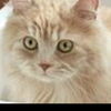 猫太郎さんさんのプロフィール画像