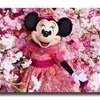 みにーさんのプロフィール画像